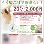 一つのチラシで、果たせる目的は最大でいくつ？