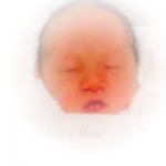 我が家に女の子が誕生しました。