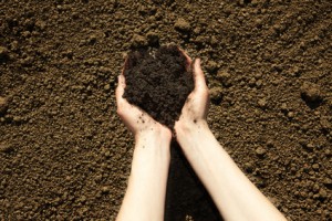 あなたのサロンの冬の時代は何をしますか？