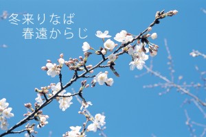 冬来りなば春遠からじ